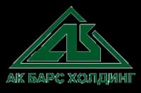 Ак Барс, Группа компаний