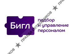 Бигл