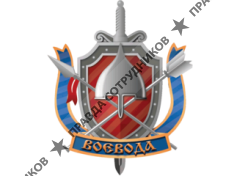 АСБ «Воевода»