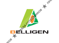 Belligen